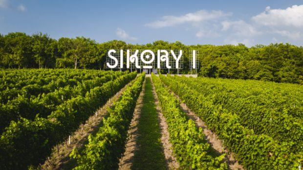 Sikory - Image 1